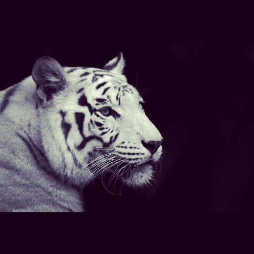 Алия Тулепова