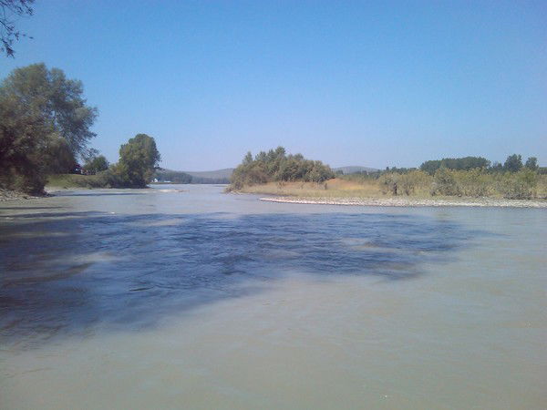 Тамара Спечак