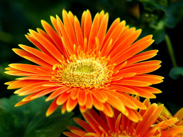 Райхан Базарбаева