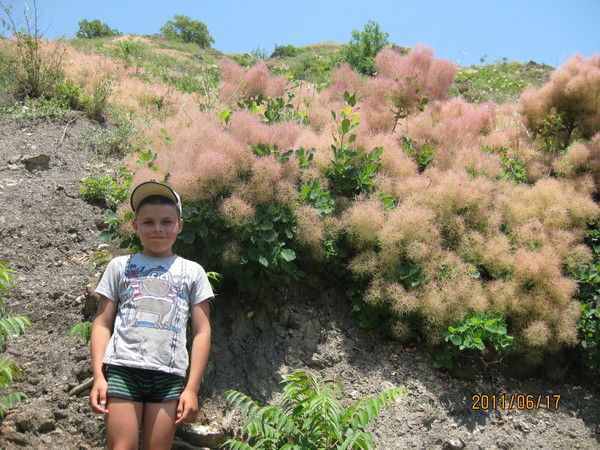 Никита Щербина