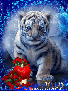 Тимур Бадретдинов