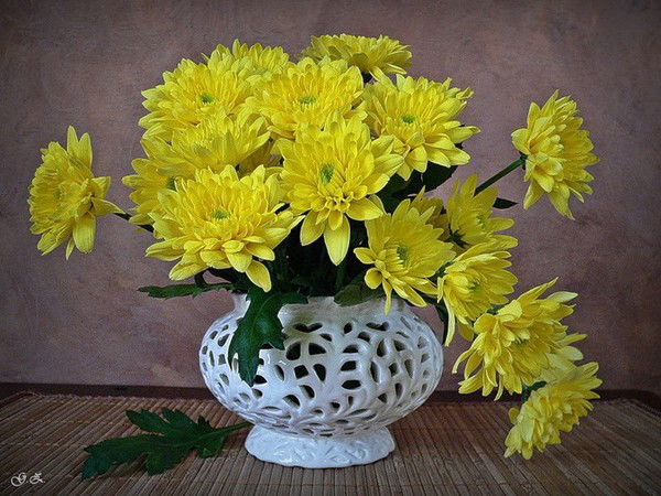 Вера Краева