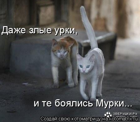 Ника Середкина