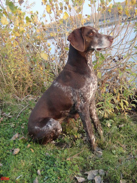 Мария Химичева