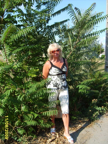 Алла Михайлова