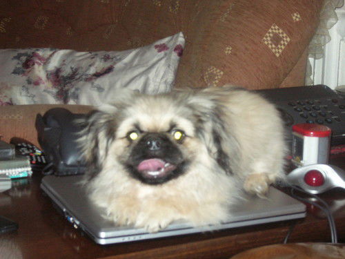 Максим Лескинен