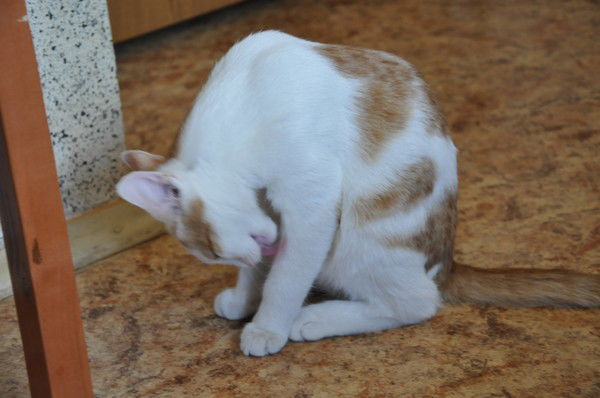 Сергей Бунтов