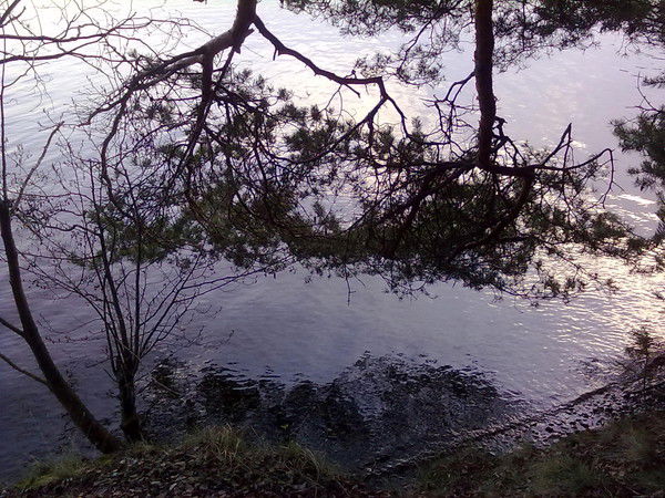 Галина Лонина