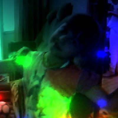 Елизавета Чамжаева