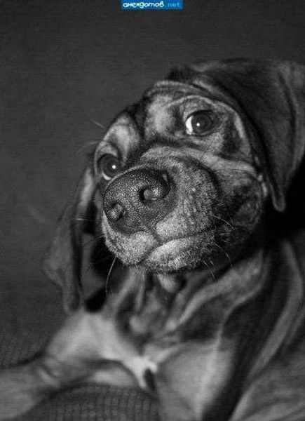 Ирина Мальченко