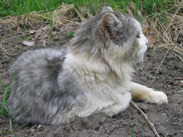 Татьяна Федорова