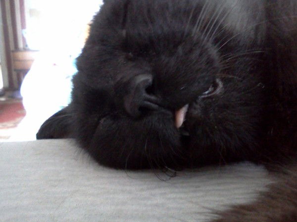 Руслан Киле