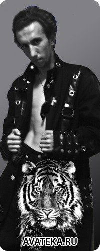 Никола Кобцев