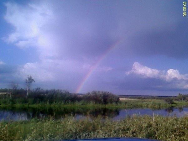 Марина Марина