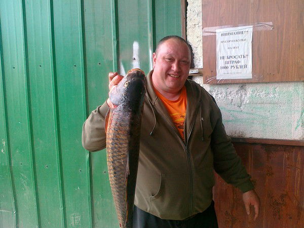 Альберт Салудков