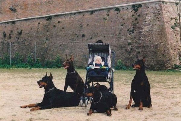 Дудик Вредный