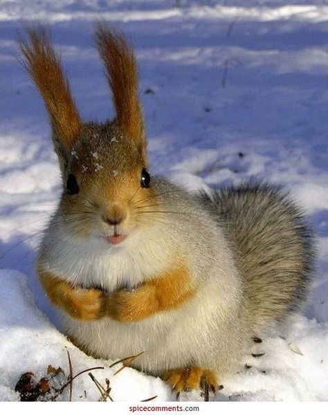 Рузия Гильманова