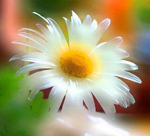 Г.бану Бердиярова