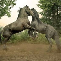 Артём Мохов