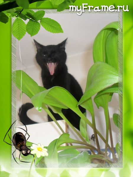 Татьяна Власова