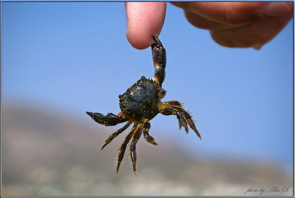 Валентин Кваснюк