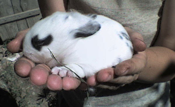 Димон Белый