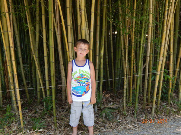 Александр Иванов