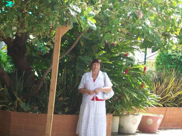 Людмила Пархоменко