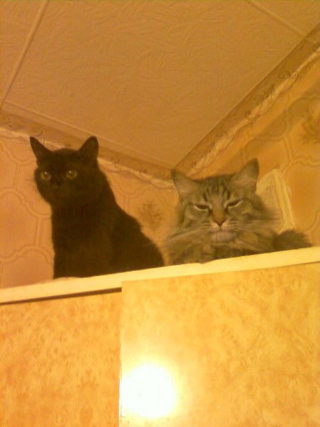 Владимир Иошин