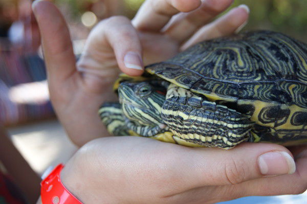 Татьяна Кириллова