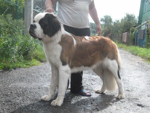 Ольга Куроедова