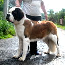 Ольга Куроедова