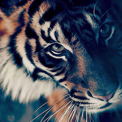 Ярослав Киндинов