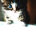 *_Evgenia _*