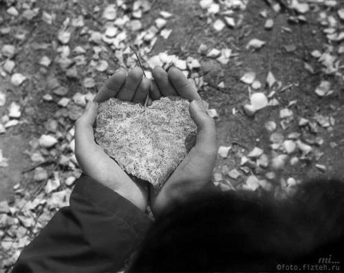 Мехришка Хамидова