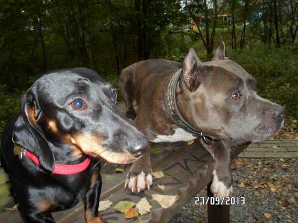 Елена Рябчикова