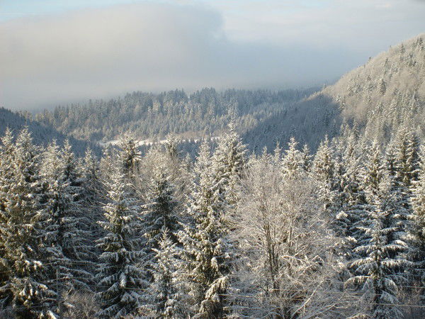 Наталья Ермилова