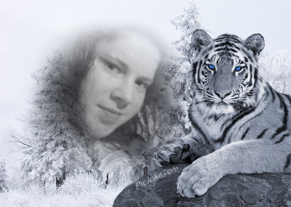 Шевчук Галина