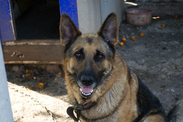 Юлия Черемных