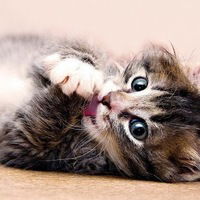 Алина Зотова