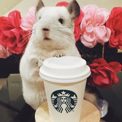 Артём Кастырин