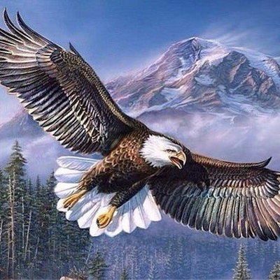 Андрей Орлов