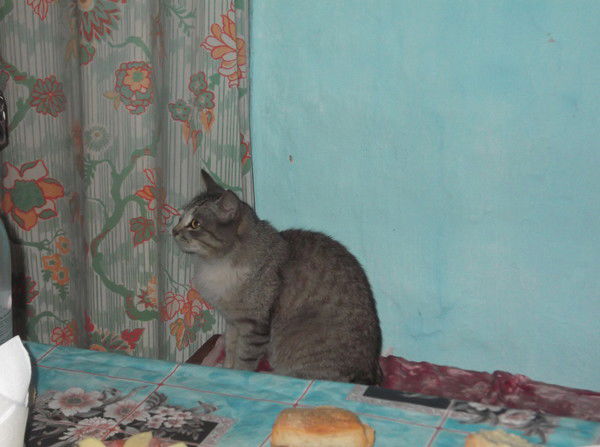 Миша Лагутинский