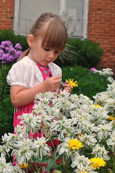 Надежда Зотова