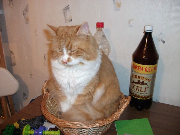 Любовь Белодед