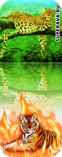 Тамара Глазер