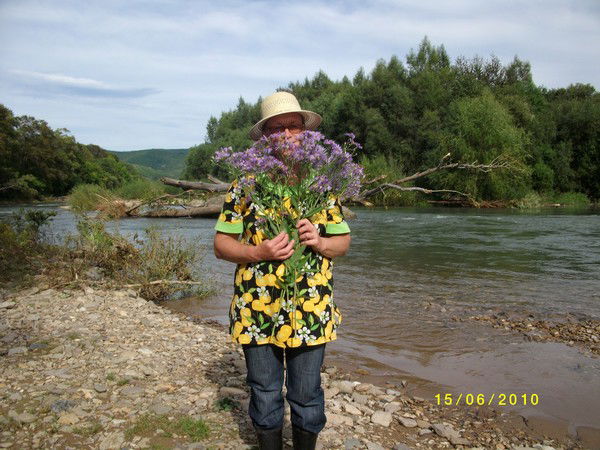 Василиса Воробьева