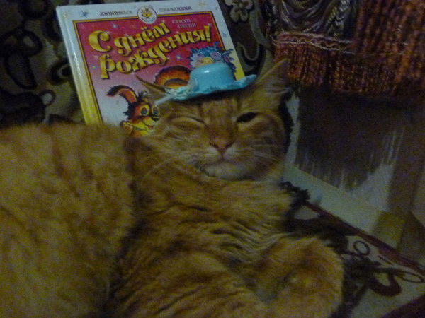 Ирина Бызова