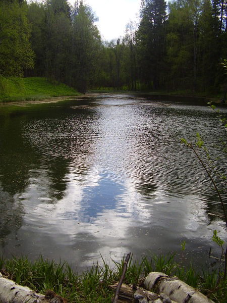 Ольга Колегова