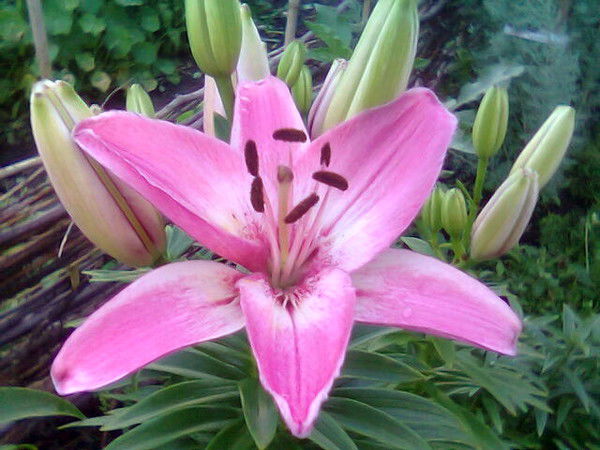 Александр Московкин